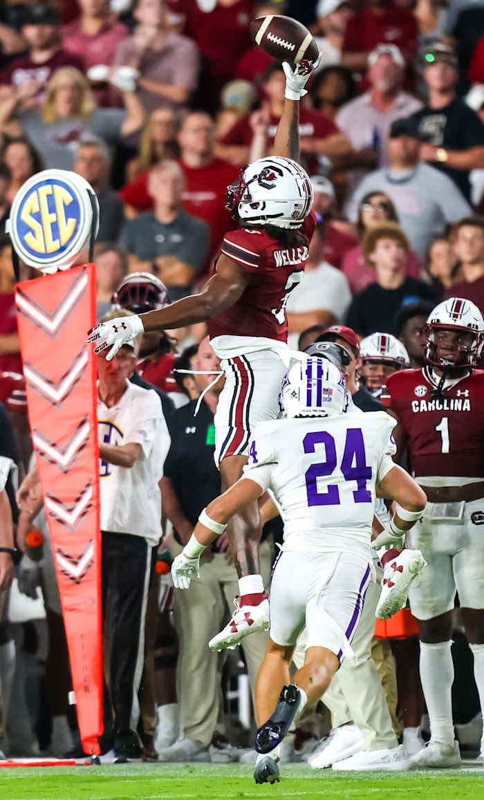 South Carolina Gamecocks wide receiver Antwane Wells Jr. attempts to catch a pass against Furman.